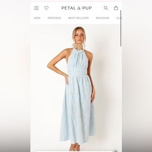 Petal & Pup Light Blue Halter Maxi Dress